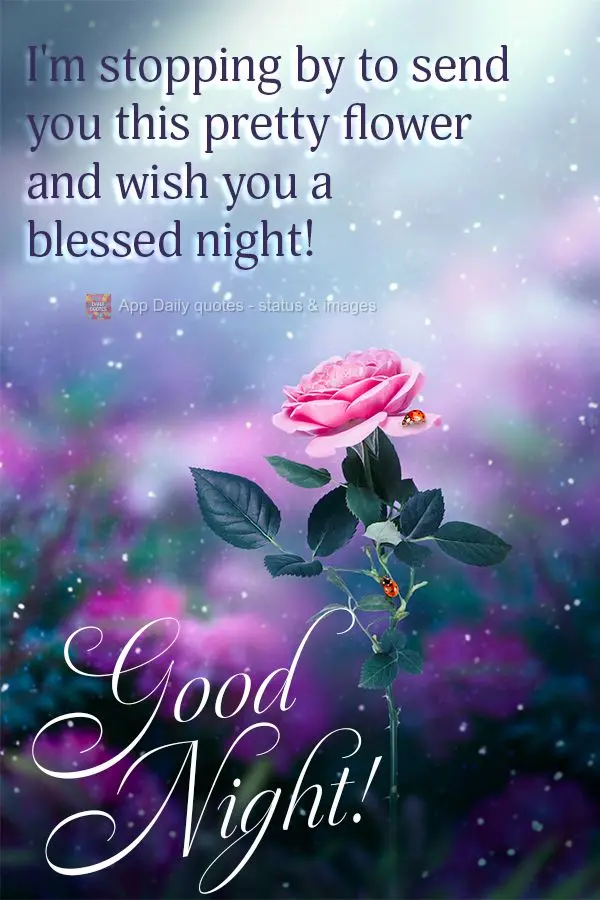 I'm stopping by to send you this pretty flower and wish you a blessed night! Good night!