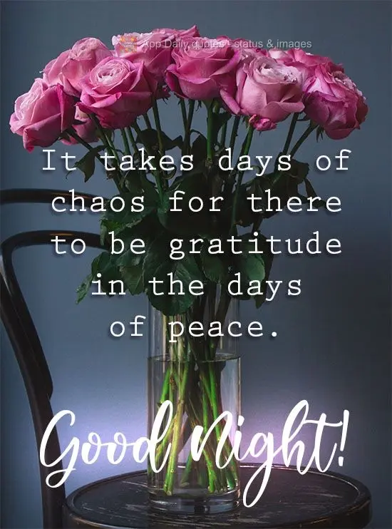 It takes days of chaos for there to be gratitude for the days of peace. Good Night!