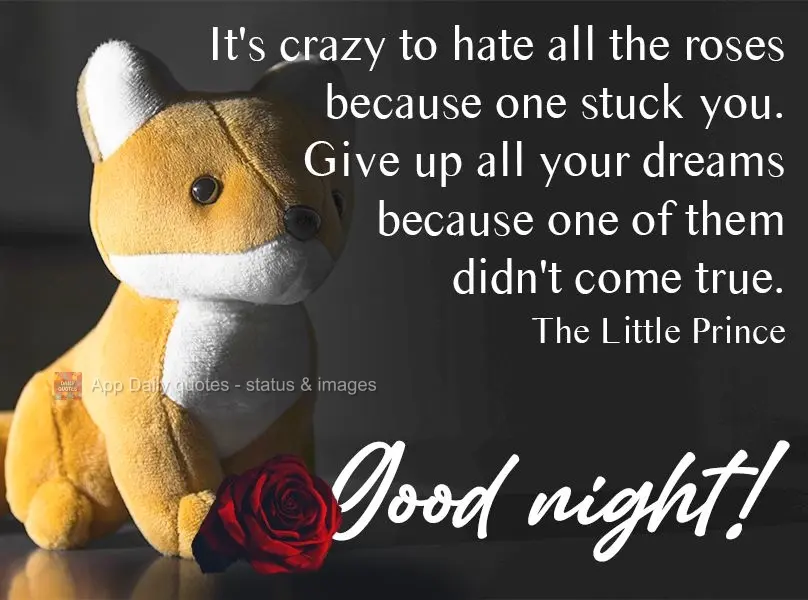 It's crazy to hate every rose because one poked you, to give up all your dreams because one of them didn't come true. The Little Prince