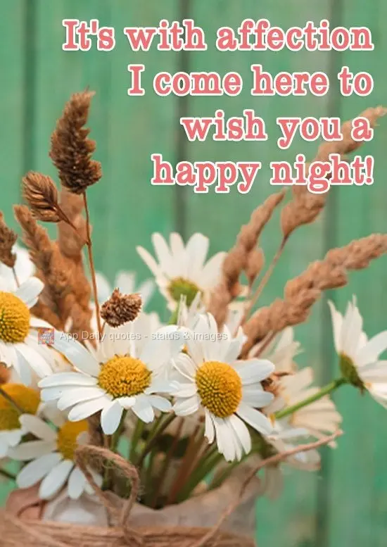 It's with affection I come here to wish you a happy night!