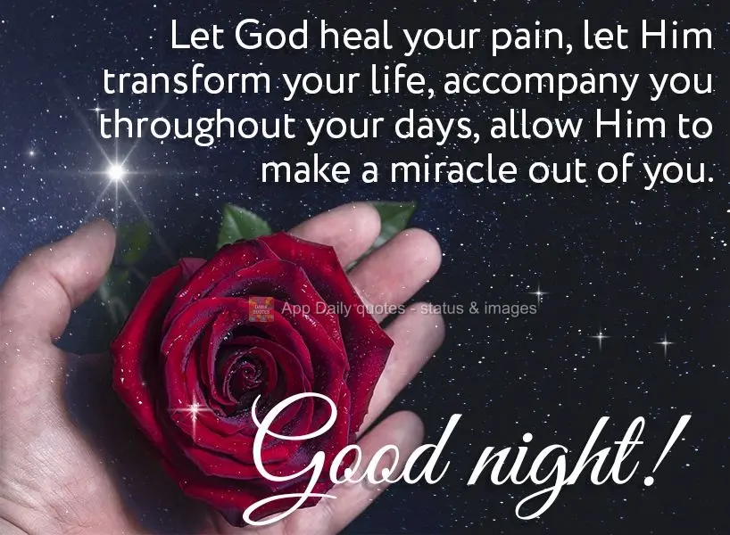 Let God heal your pain. Let Him transform your life and accompany you throughout your days. Allow Him to make a miracle out of you. Good night!