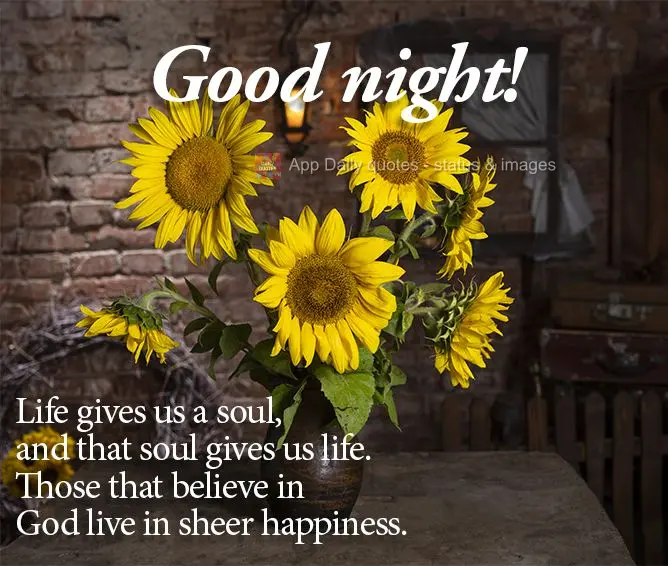 Life gives us a soul, and that soul gives us life. Those that believe in God live in sheer happiness.  Good night!