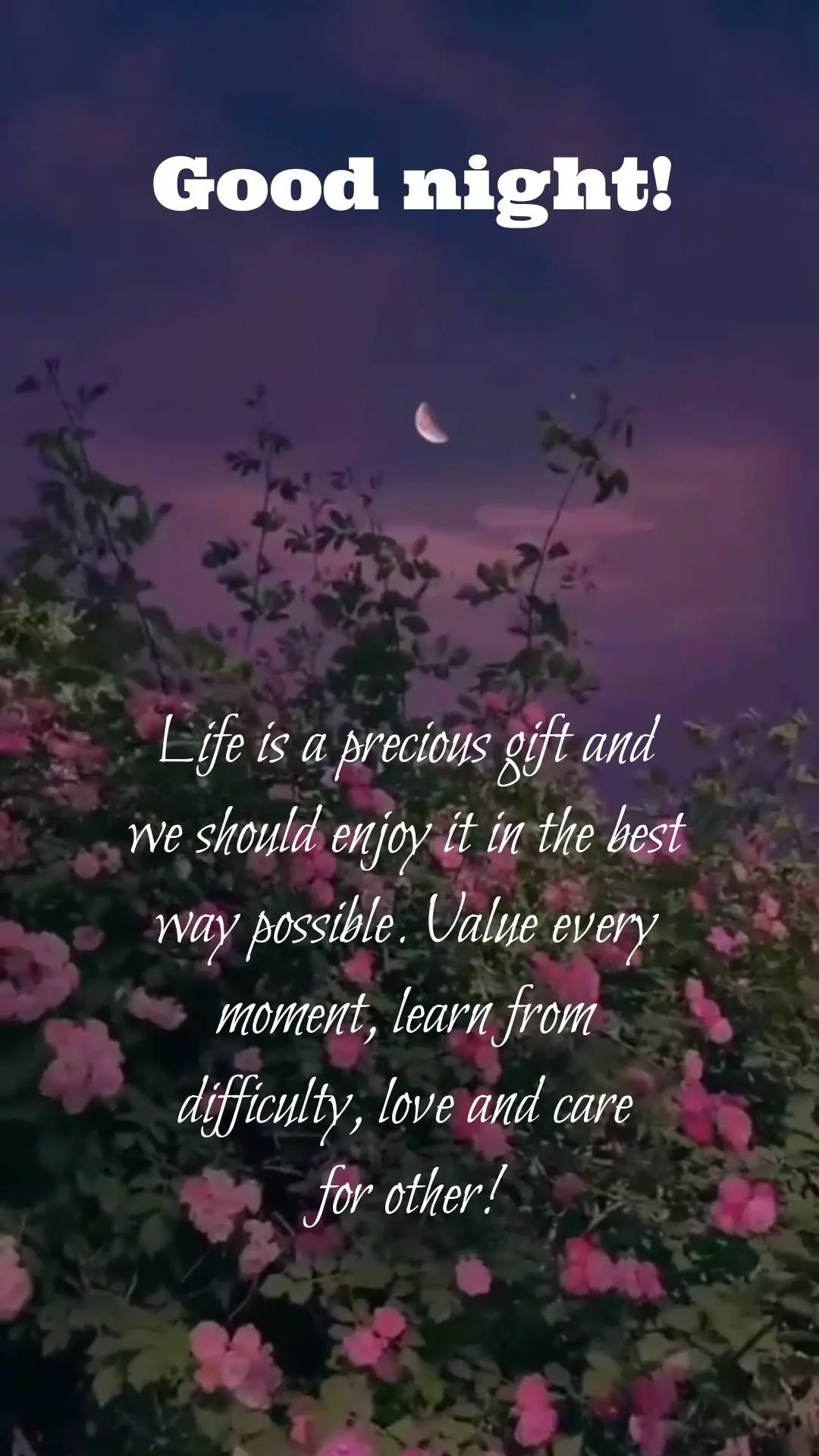 Life is a precious gift and we should enjoy it in the best way possible. Value every moment, learn from difficulty, love and care for other! Good night!...