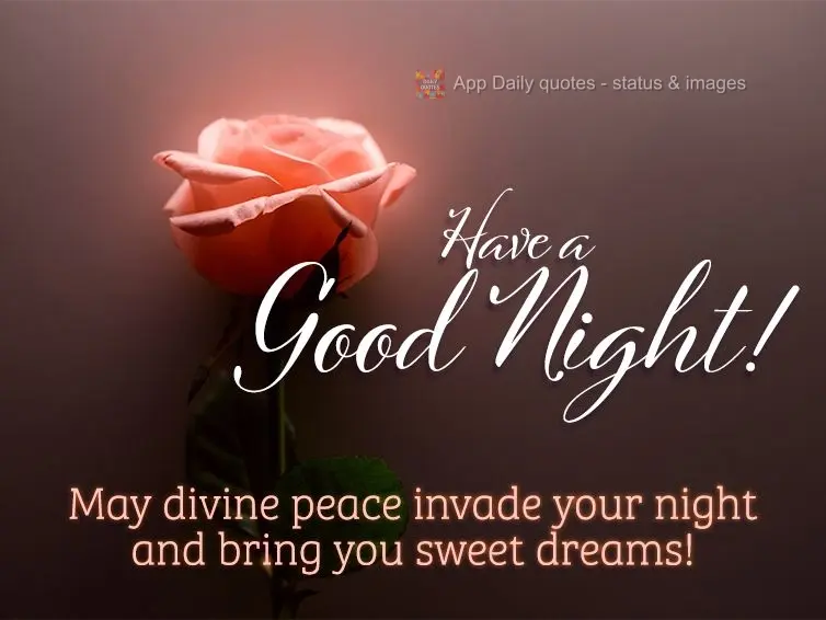 May divine peace take over your night and bring you sweet dreams! Have a good night!