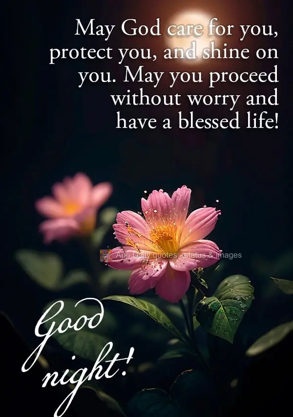 May God care for you, protect you, and shine on you. May you proceed without worry and have a blessed life! Good night!