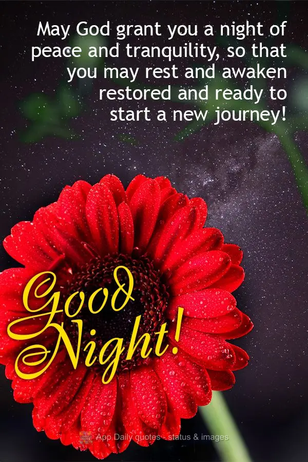May God grant you a night of peace and tranquility, so that you may rest and awaken restored and ready to start a new journey! Good night!