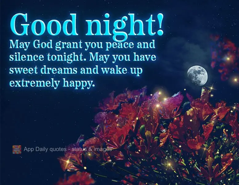 May God grant you peace and silence tonight. May you have sweet dreams and wake up extremely happy. Good night!