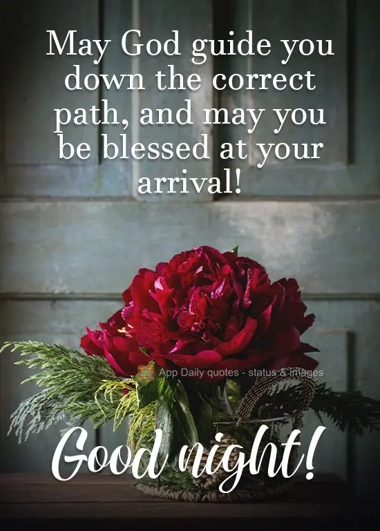 May God guide you down the correct path, and may you be blessed at your arrival!  Good night! 