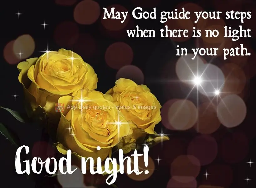 May God guide your steps when there is no light along your path. Good night!