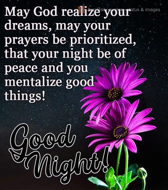 May God make your dreams a reality, may your prayers be prioritized, may your night be peaceful, and may you visualize good things! Good Night!