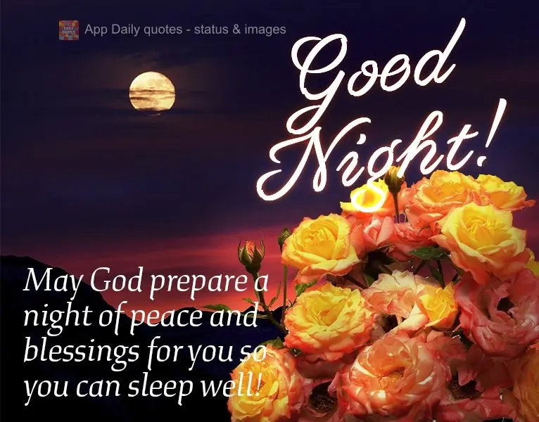 May God prepare a night of peace and blessings for you so you can sleep well! Good night!