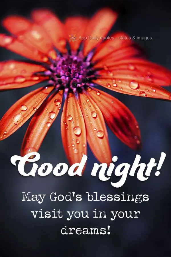 May God's blessings visit you in your dreams! Good night!