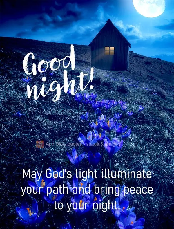 May God's light illuminate your path and bring peace to your night. Good night!