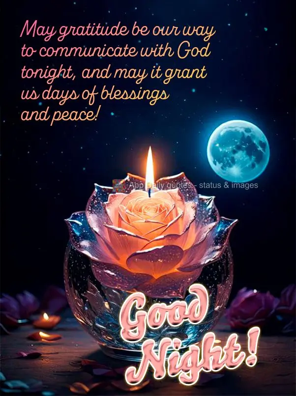 May gratitude be our way to communicate with God tonight, and may it grant us days of blessings and peace! Good night!