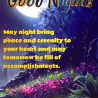 May night bring peace and serenity to your heart and may tomorrow be fill of accomplishments. Good night!