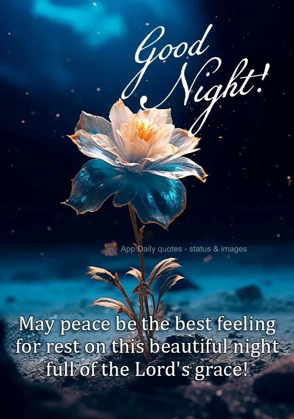 May peace be the best feeling for rest on this beautiful night full of the Lord's grace! Good night!