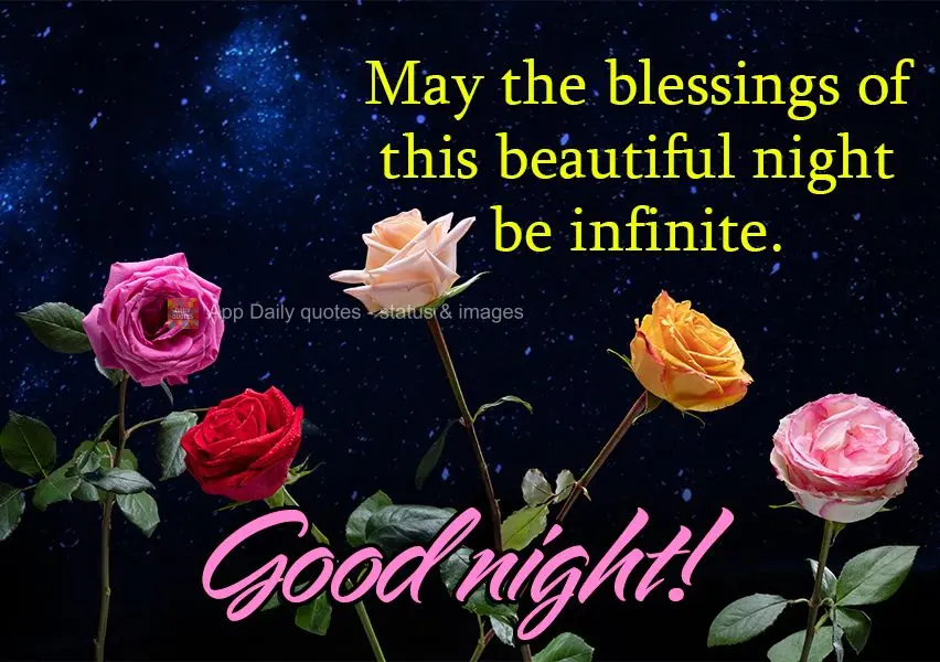 May the blessings of this beautiful night be infinite. Good night!
