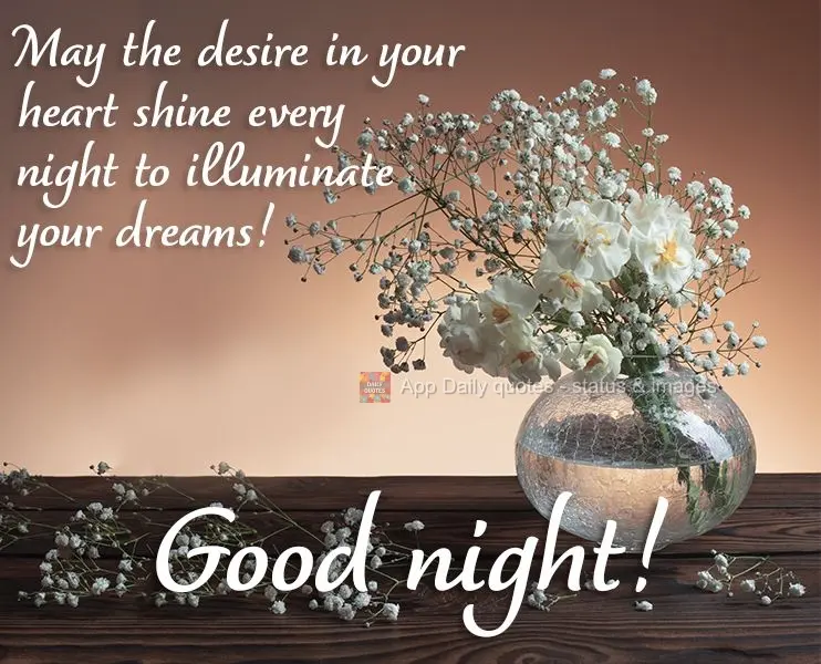 May the desire in your heart shine every night and illuminate your dreams! Good night!