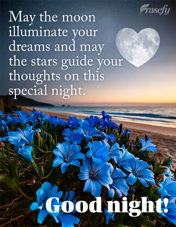 May the moon illuminate your dreams and may the stars guide your thoughts on this special night. Good night!