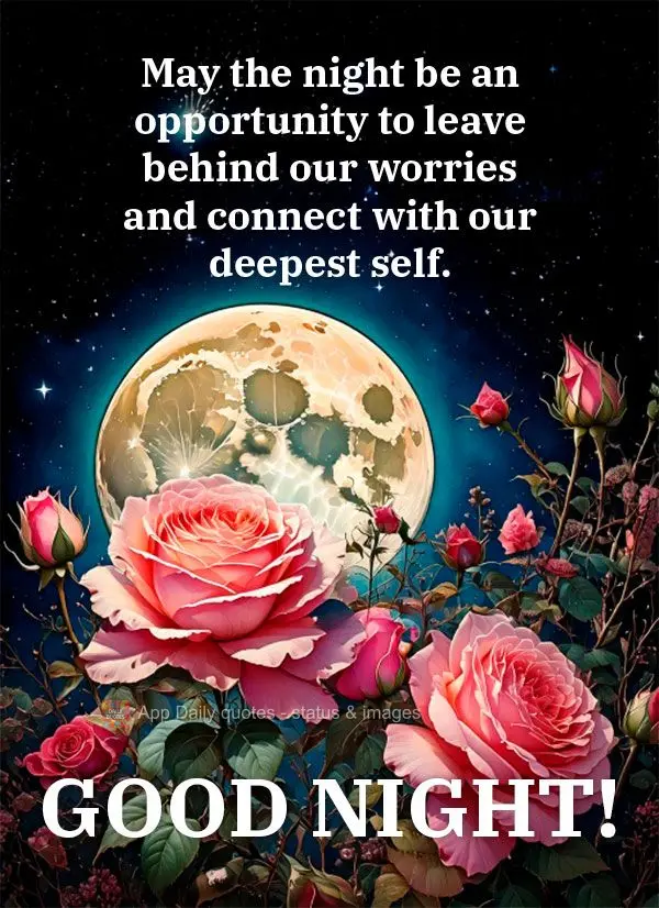 May the night be an opportunity to leave behind our worries and connect with our deepest self. Good night!