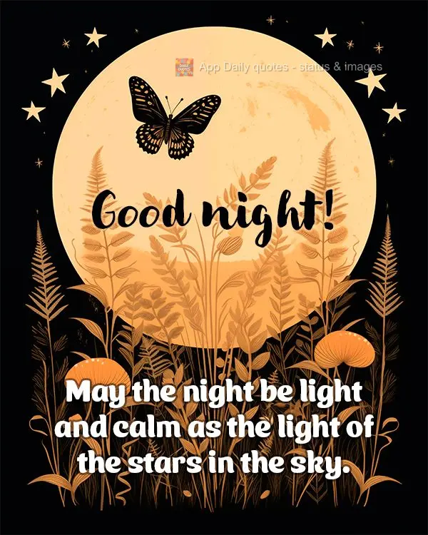 May the night be light and calm as the light of the stars in the sky. Good night!