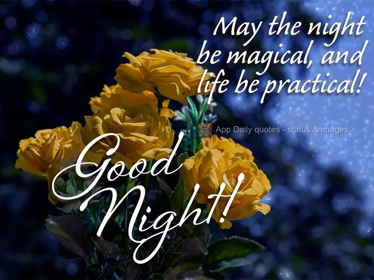 May the night be magical, and life be practical! Good Night!