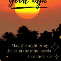 May the night bring the calm the mind needs, the peace that the heart needs, and the hope that tomorrow will be a better day! Good night!