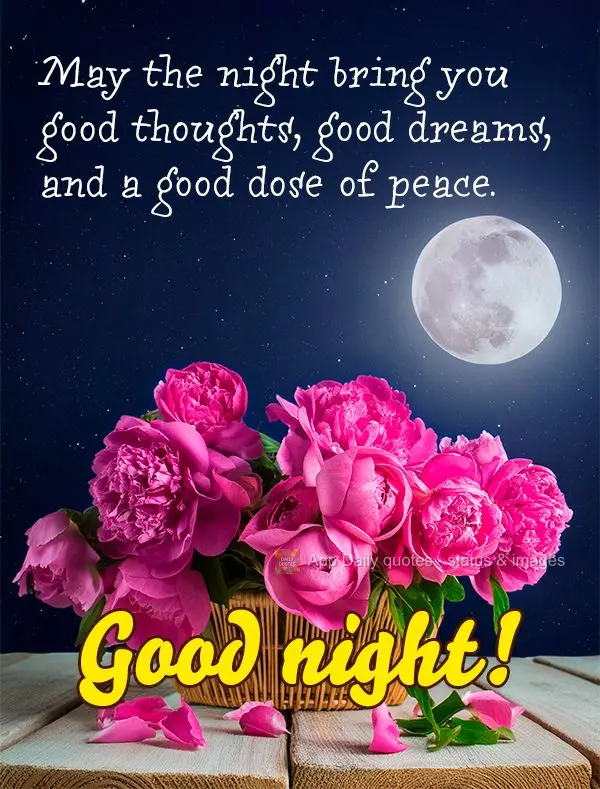 May the night bring you good thoughts, good dreams, and a good dose of peace. Good night!