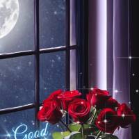 May the night bring your heart peace and serenity, and may you reflect on all the blessings and accomplishments from the day. Good night!