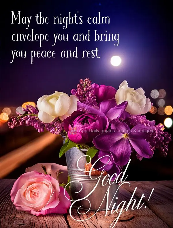 May the night's calm envelope you and bring you peace and rest. Good night!