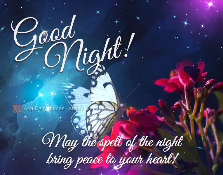 May the spell of the night bring peace to your heart! Good night!