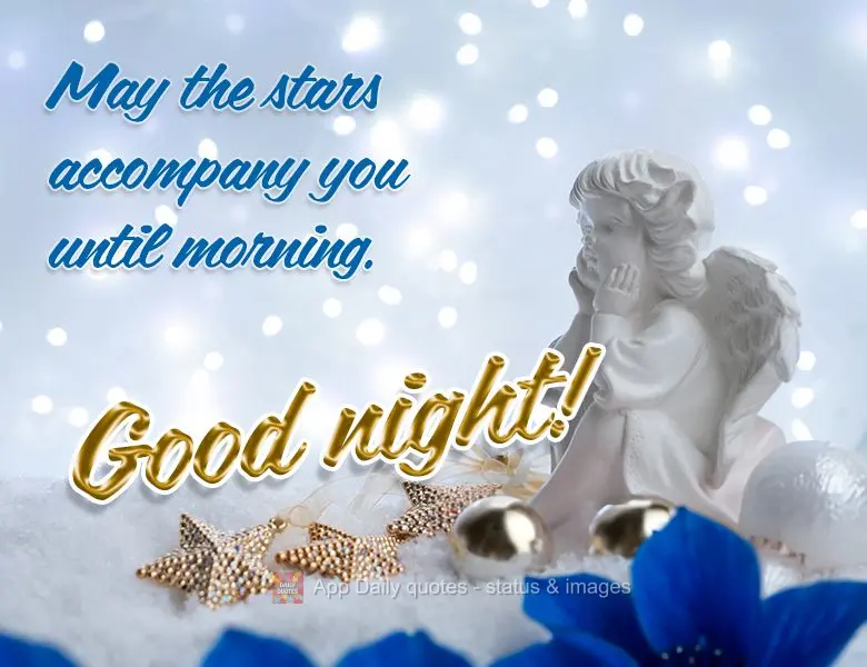 May the stars accompany you until morning. Good night!