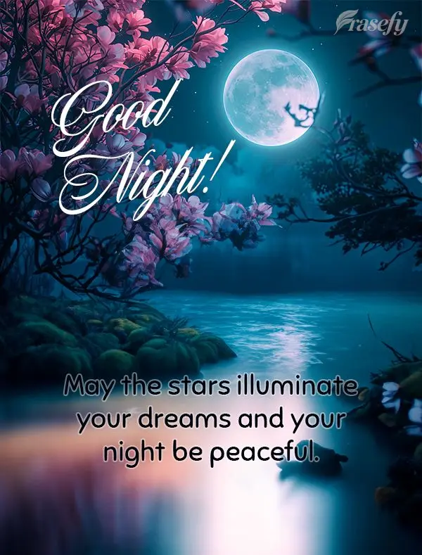 May the stars illuminate your dreams and your night be peaceful. Good night!