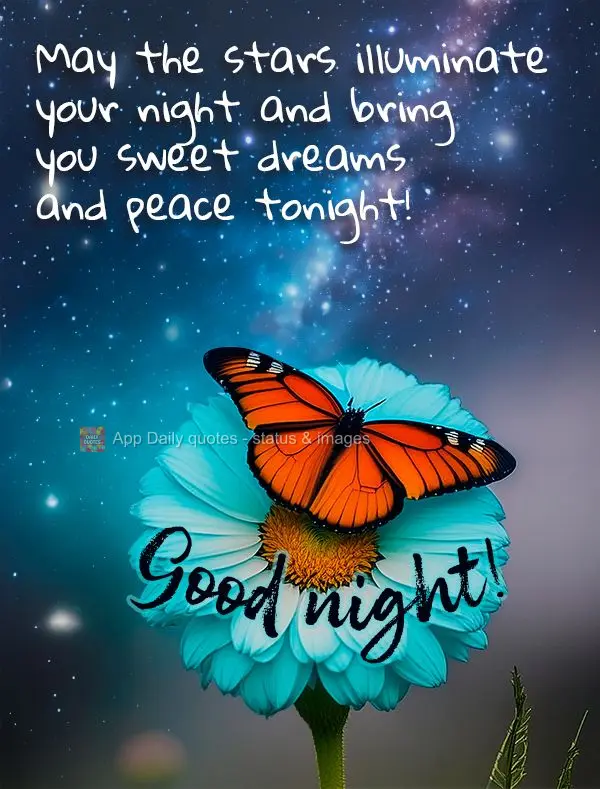 May the stars illuminate your night and bring you sweet dreams and peace tonight! Good night!