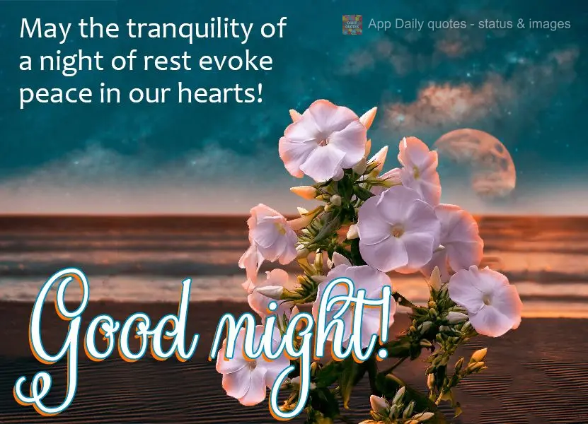 May the tranquility of a night of rest evoke peace in our hearts! Good night!