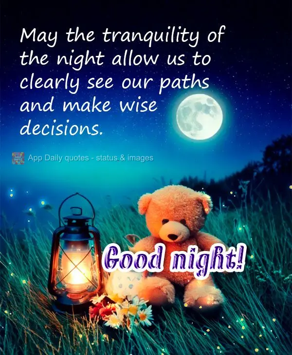 May the tranquility of the night allow us to clearly see our paths and make wise decisions. Good night!