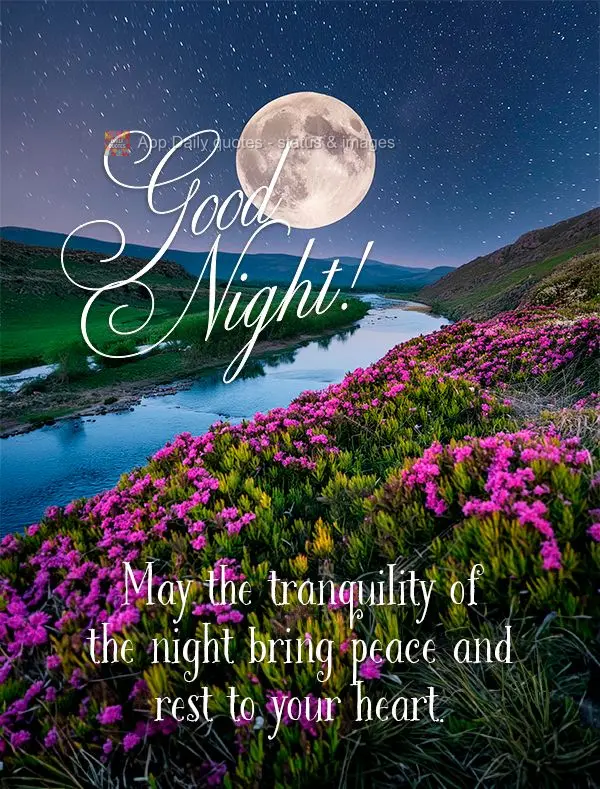 May the tranquility of the night bring peace and rest to your heart. Good night!