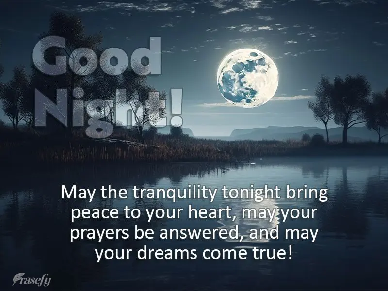 May the tranquility tonight bring peace to your heart, may your prayers be answered, and may your dreams come true! Good night!