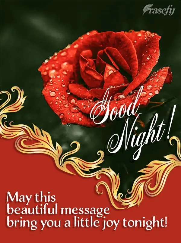May this beautiful message bring you a little joy tonight! Good night!