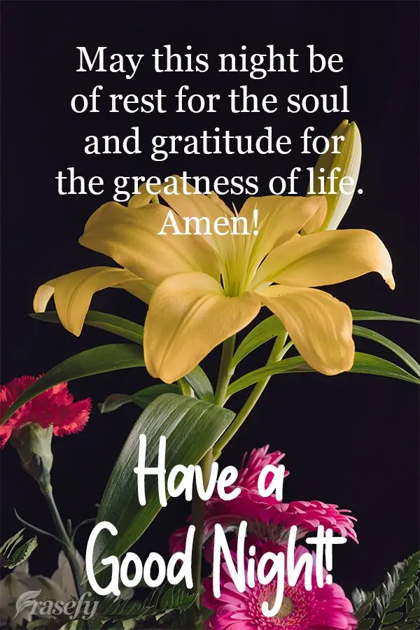 May this night be restful for the soul and full of gratitude for the greatness of life. Amen! Have a Good Night!