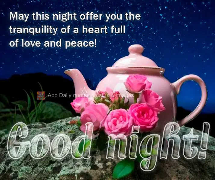 May this night offer you the tranquility of a heart full of love and peace! Good night!