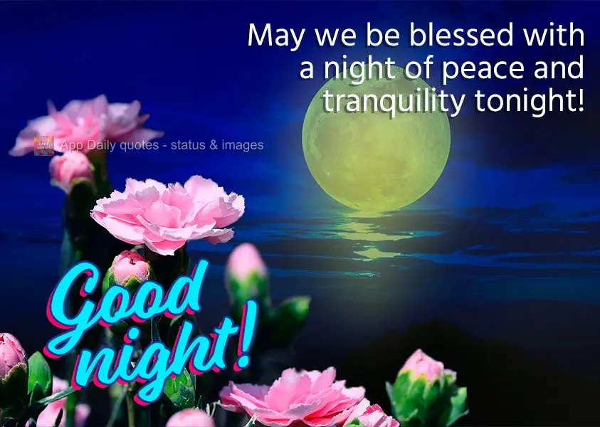 May we be blessed with a night of peace and tranquility tonight! Good night!