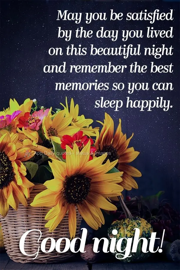 May you be satisfied by the day you just lived through on this beautiful night and reflect on your best memories so you can sleep happily. Good night!