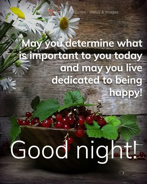May you determine what is important to you today and may you live dedicated to being happy! Good night!
