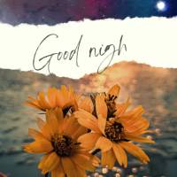May you encounter the most brilliant star to guide you on your journey! Good night!