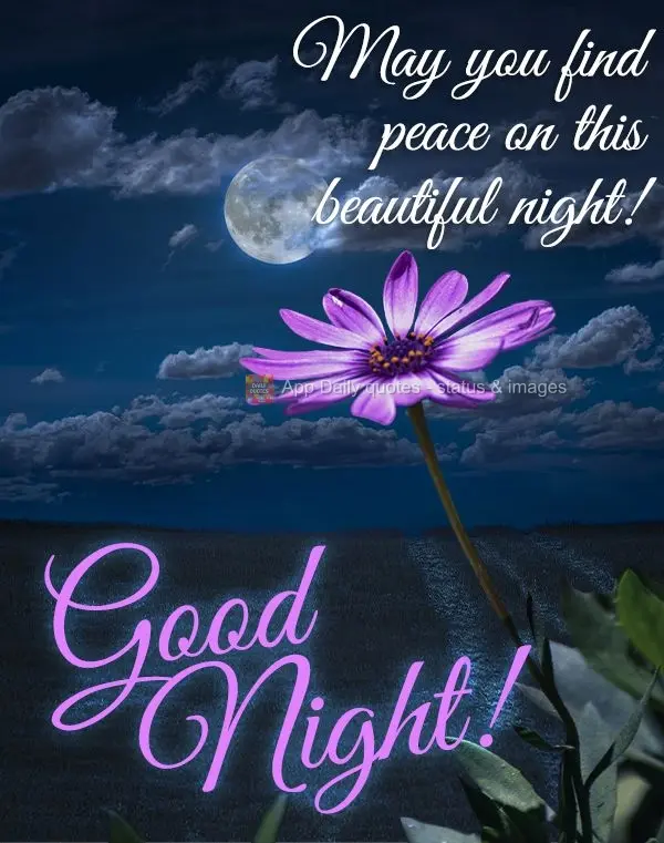 May you find peace on this beautiful night! Good night!