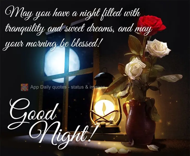 May you have a night filled with tranquility and sweet dreams, and may your morning be blessed! Good night!