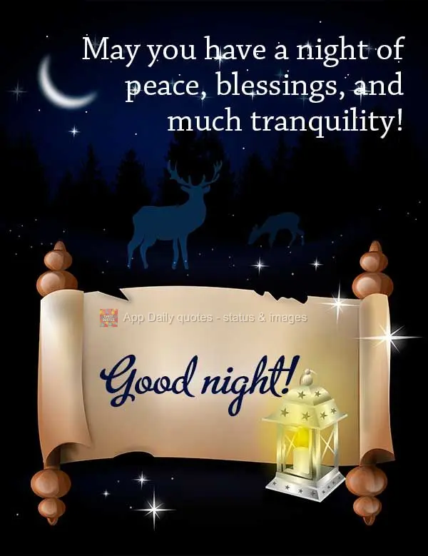 May you have a night of peace, blessings, and much tranquility! Good night!