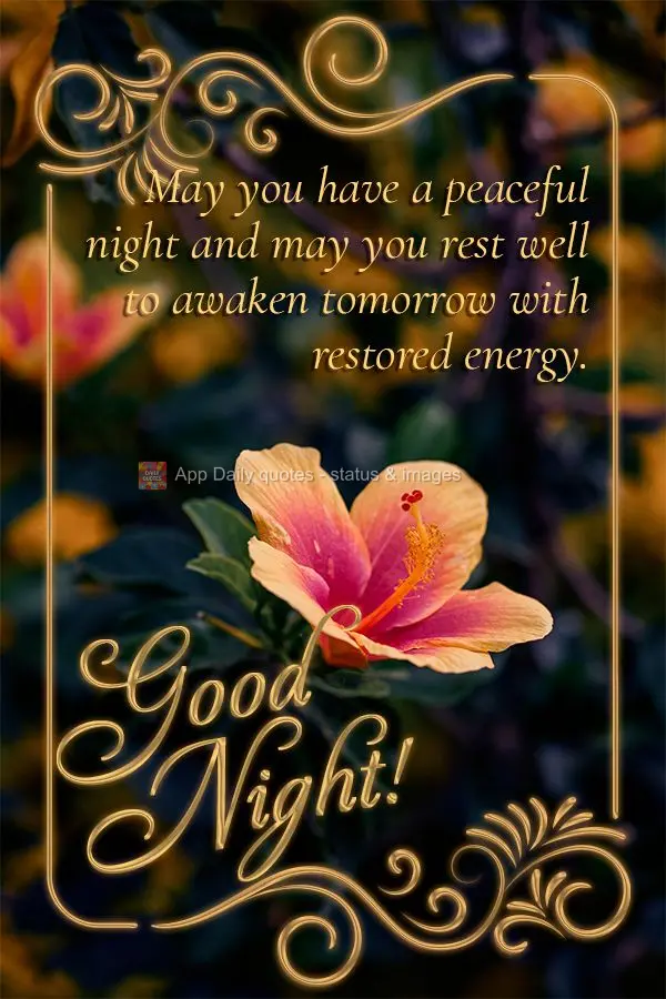 May you have a peaceful night, and may you rest well to awaken tomorrow with restored energy. Good night!