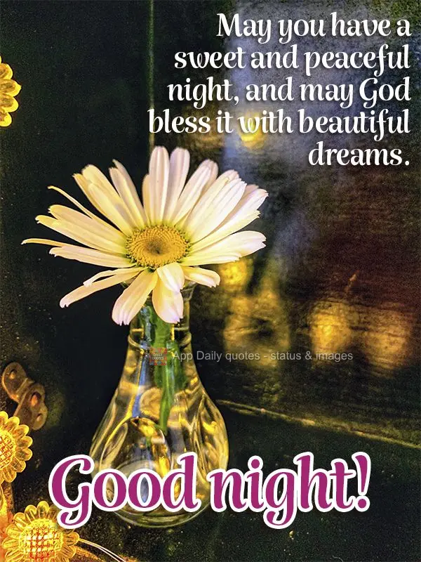 May you have a sweet and peaceful night, and may God bless it with beautiful dreams.  Good night!